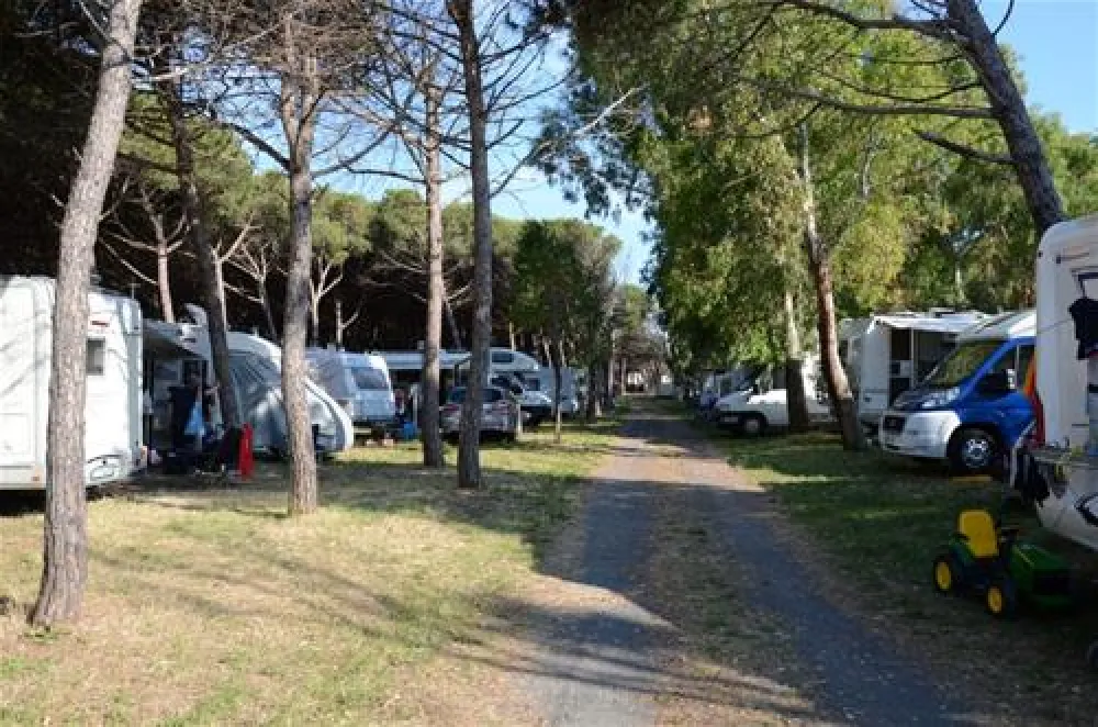 Camping Village Tuscia Tirrenica