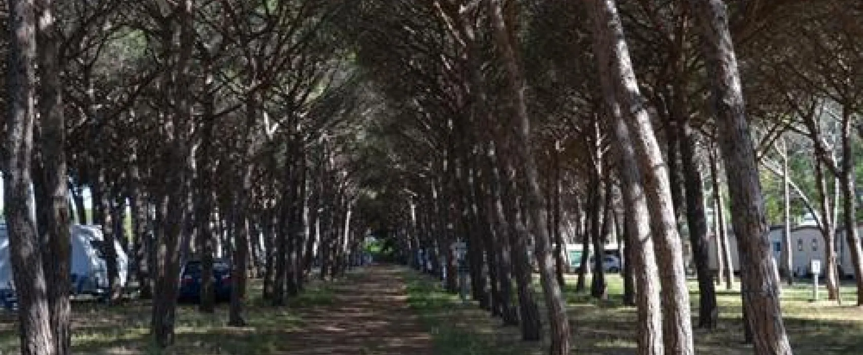 Camping Village Tuscia Tirrenica