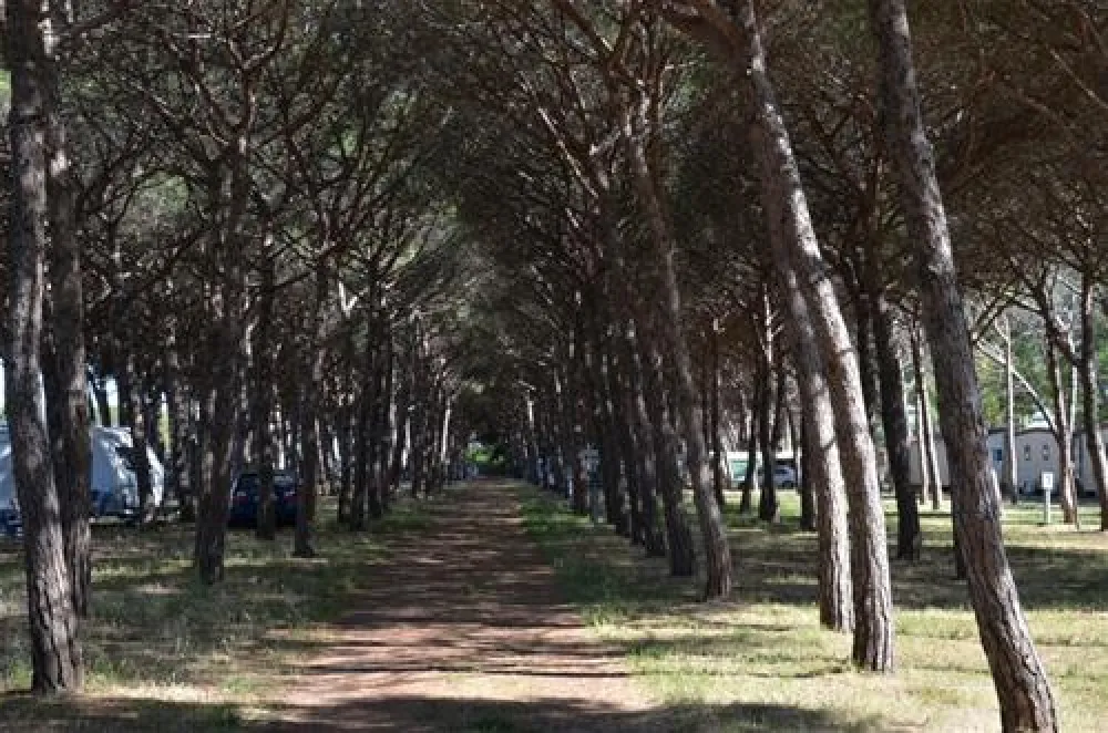 Camping Village Tuscia Tirrenica