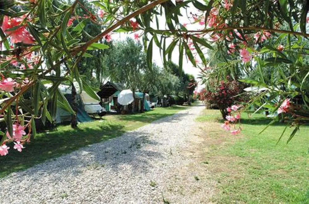 Camping Village Tuscia Tirrenica