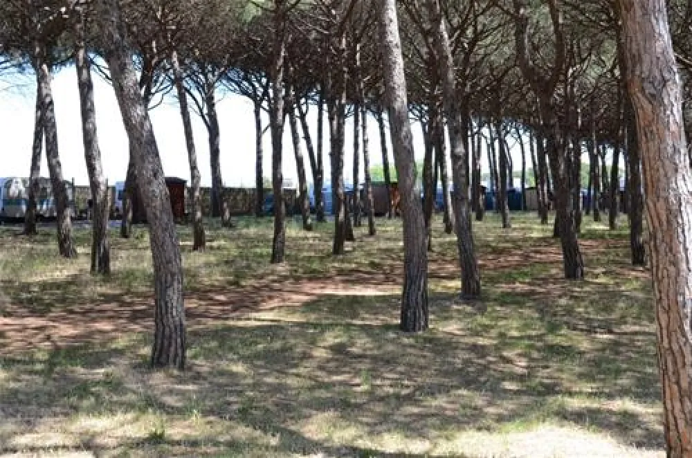 Camping Village Tuscia Tirrenica