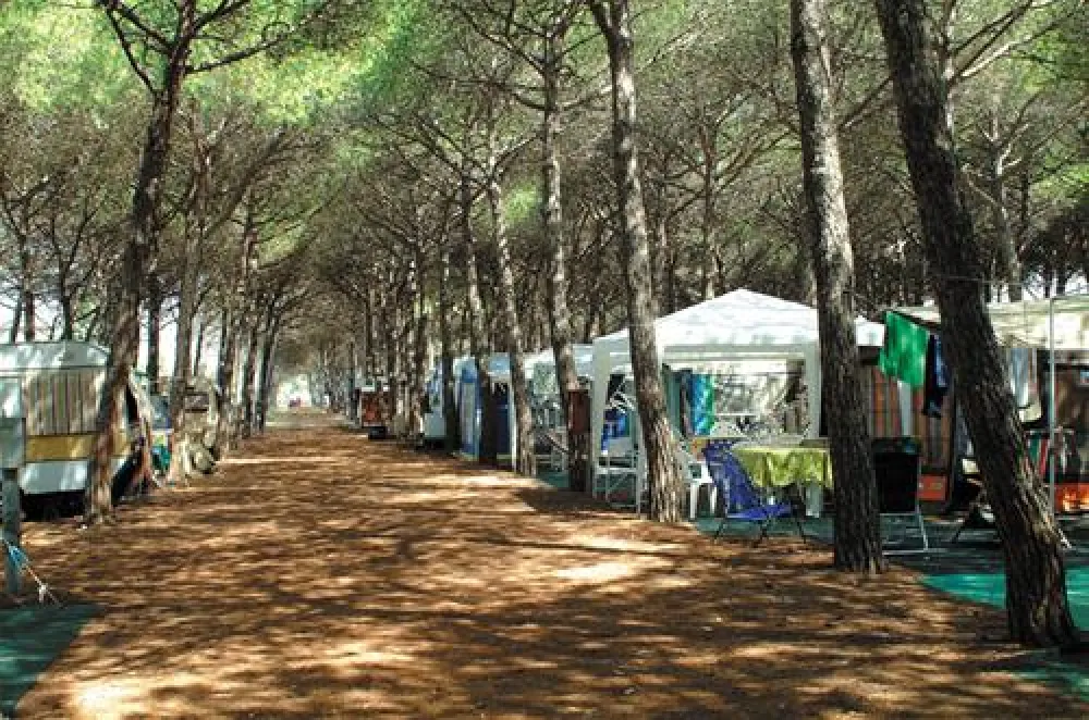Camping Village Tuscia Tirrenica