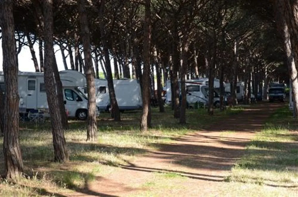 Camping Village Tuscia Tirrenica