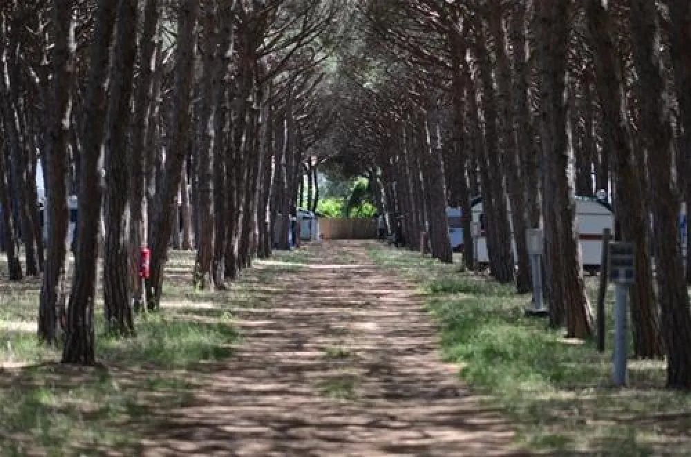 Camping Village Tuscia Tirrenica