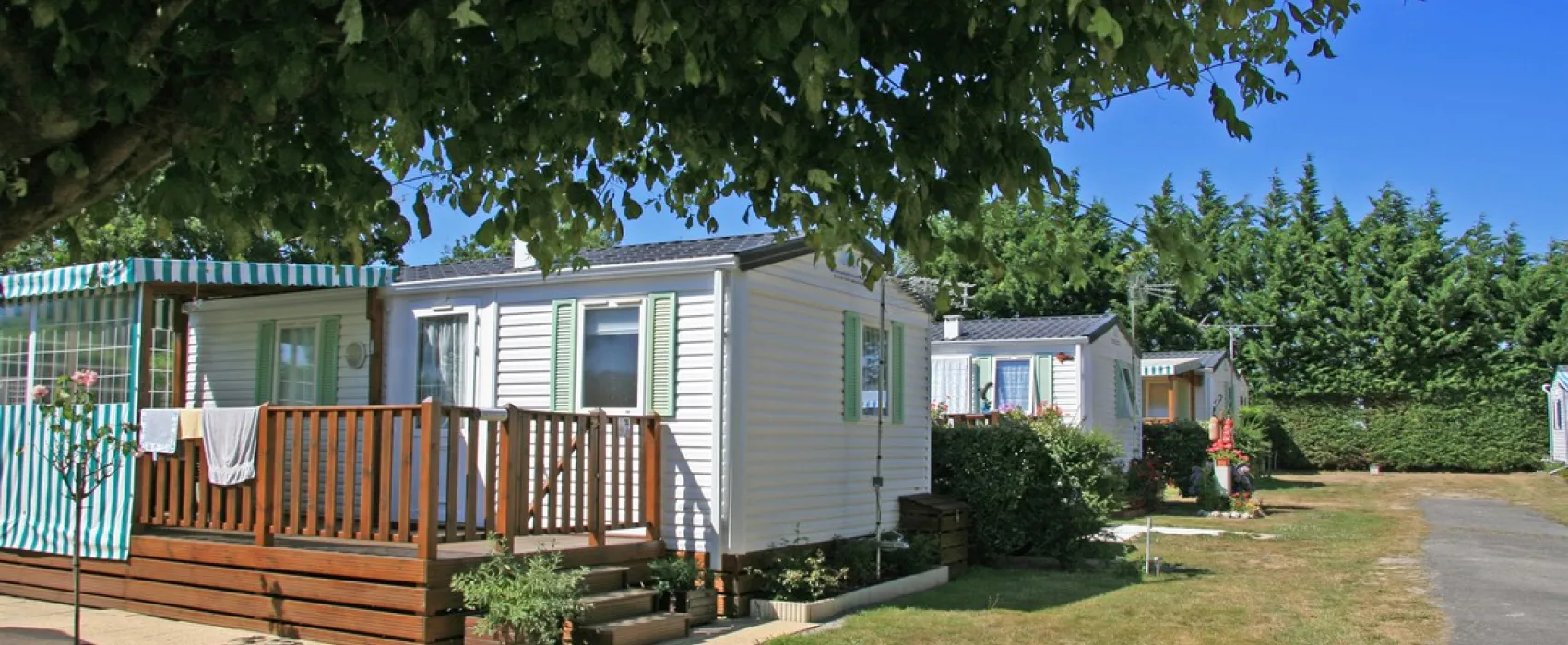 Flower Camping - Les Brillas