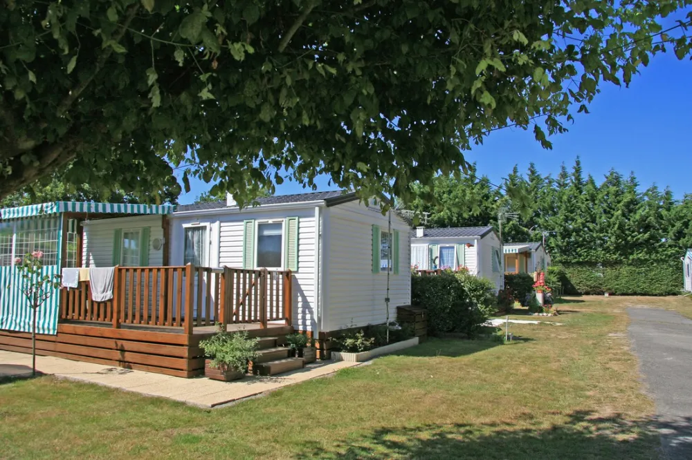 Flower Camping - Les Brillas