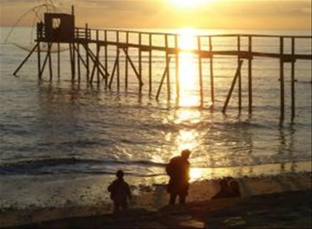 Flower Camping - Les Brillas