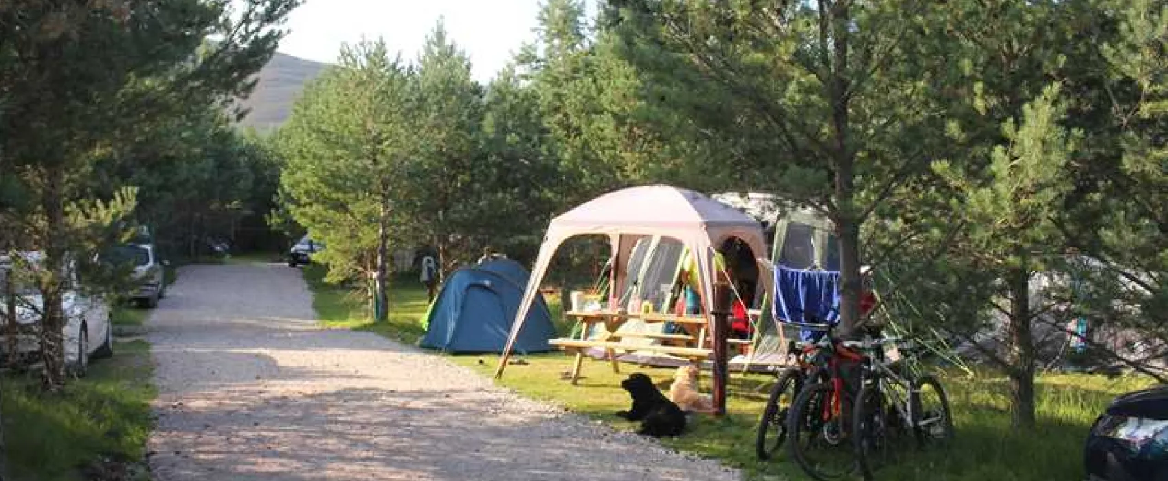 Dalraddy Holiday Park