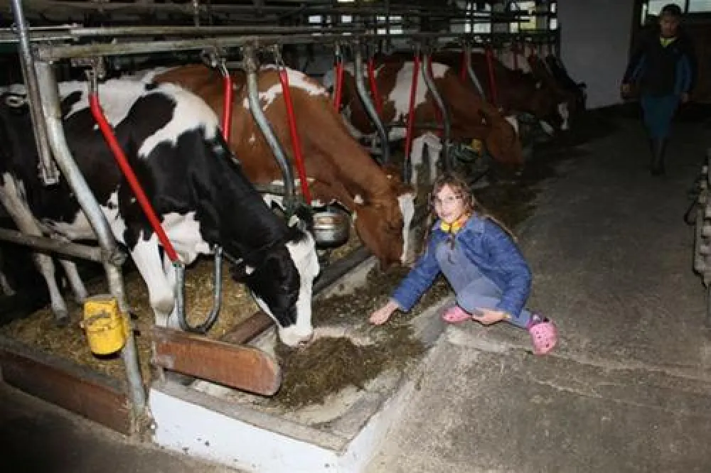 Camping Biohof Unteregg