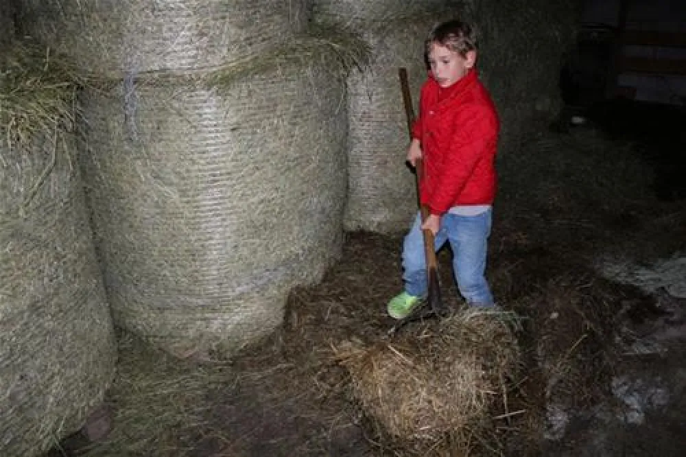 Camping Biohof Unteregg