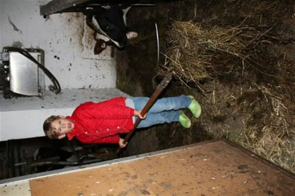 Camping Biohof Unteregg