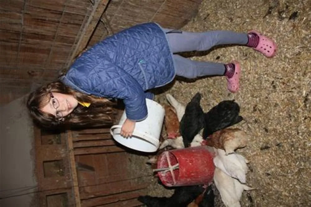 Camping Biohof Unteregg