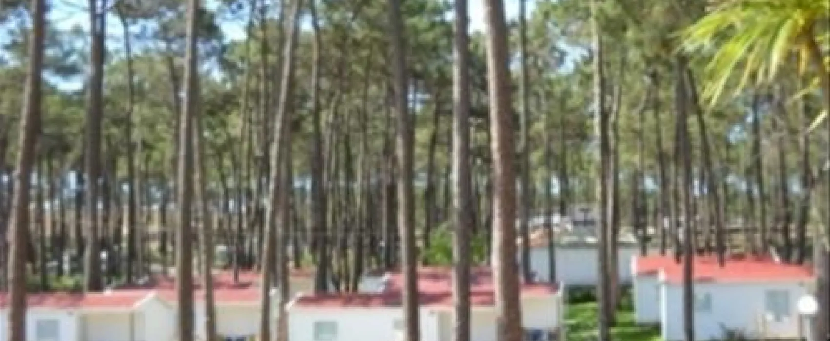 Parque de Campismo do Valado/orbitur