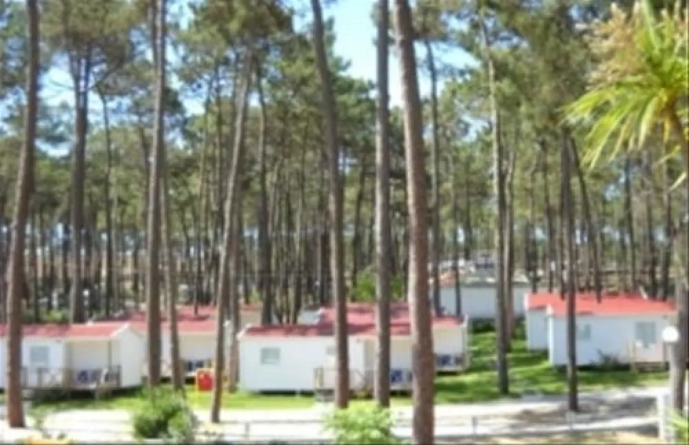 Parque de Campismo do Valado/orbitur