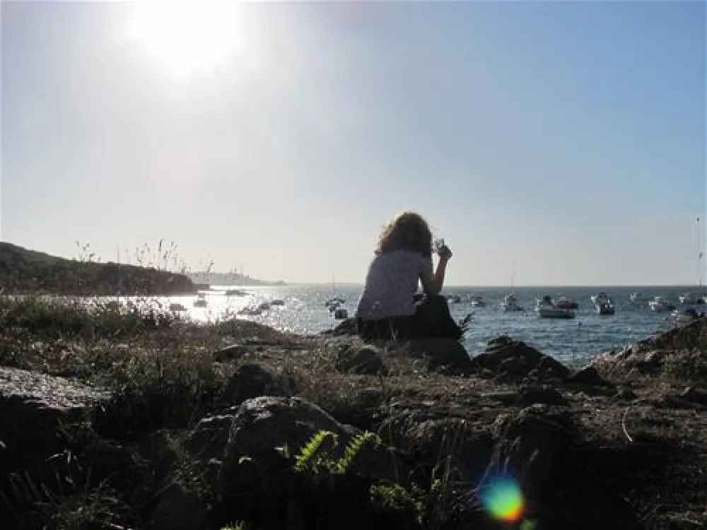 Camping Municipal Le Palud  