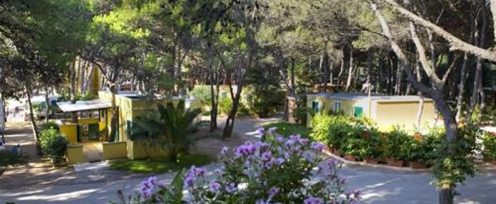 Agricamper Torre Sabea