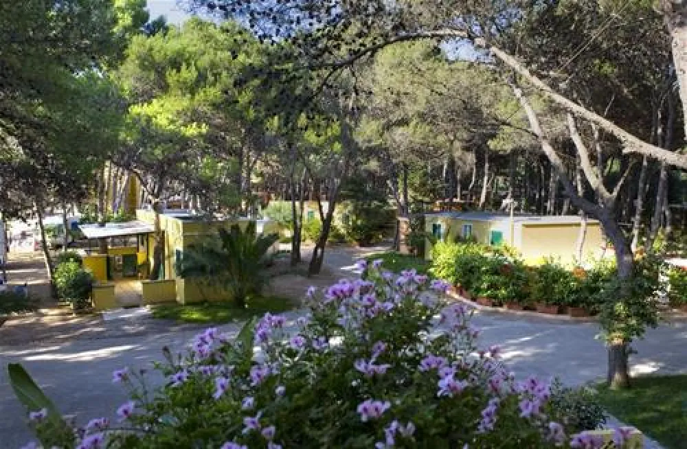 Agricamper Torre Sabea