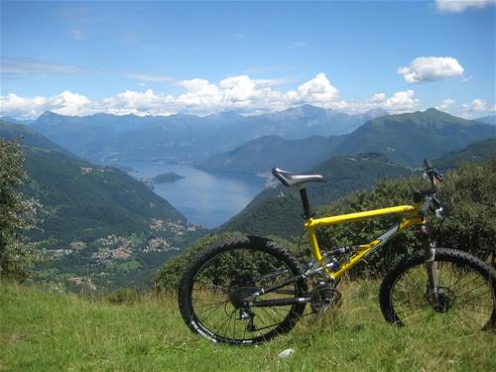 Campeggio ai Colli Fioriti