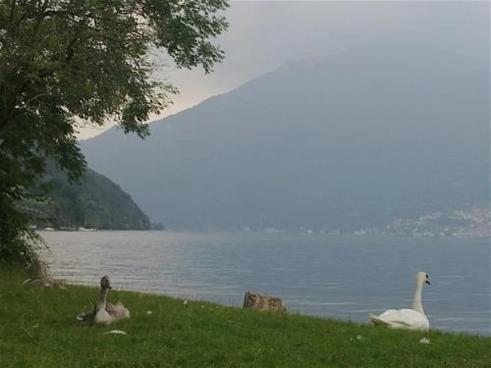 Campeggio ai Colli Fioriti