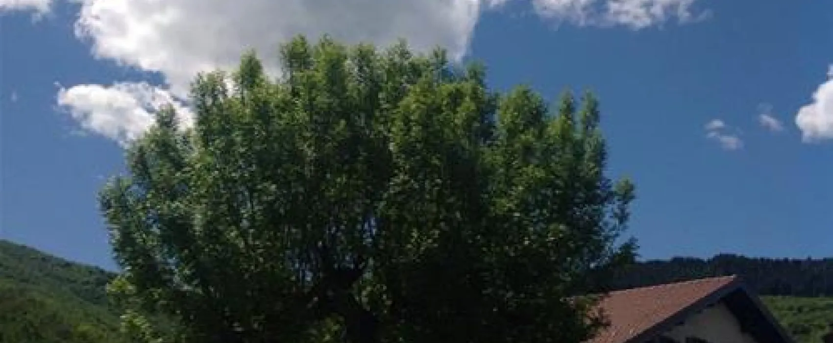 Campeggio ai Colli Fioriti