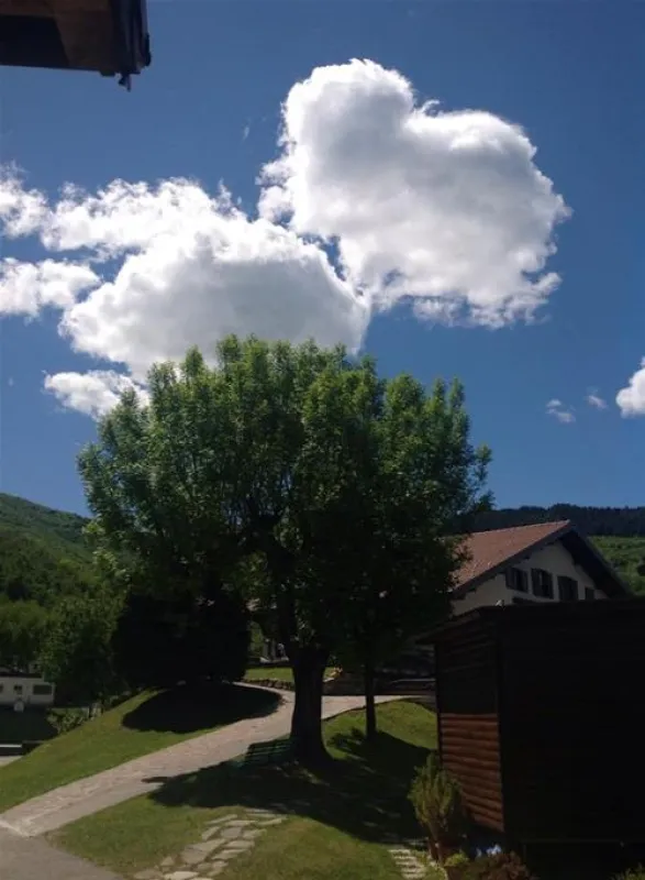 Campeggio ai Colli Fioriti