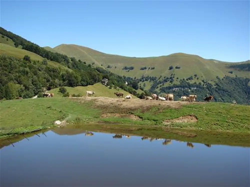 Campeggio ai Colli Fioriti