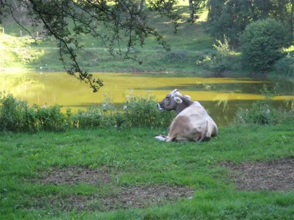 Campeggio ai Colli Fioriti