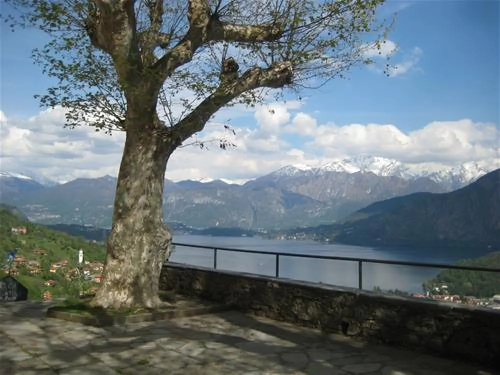 Campeggio ai Colli Fioriti