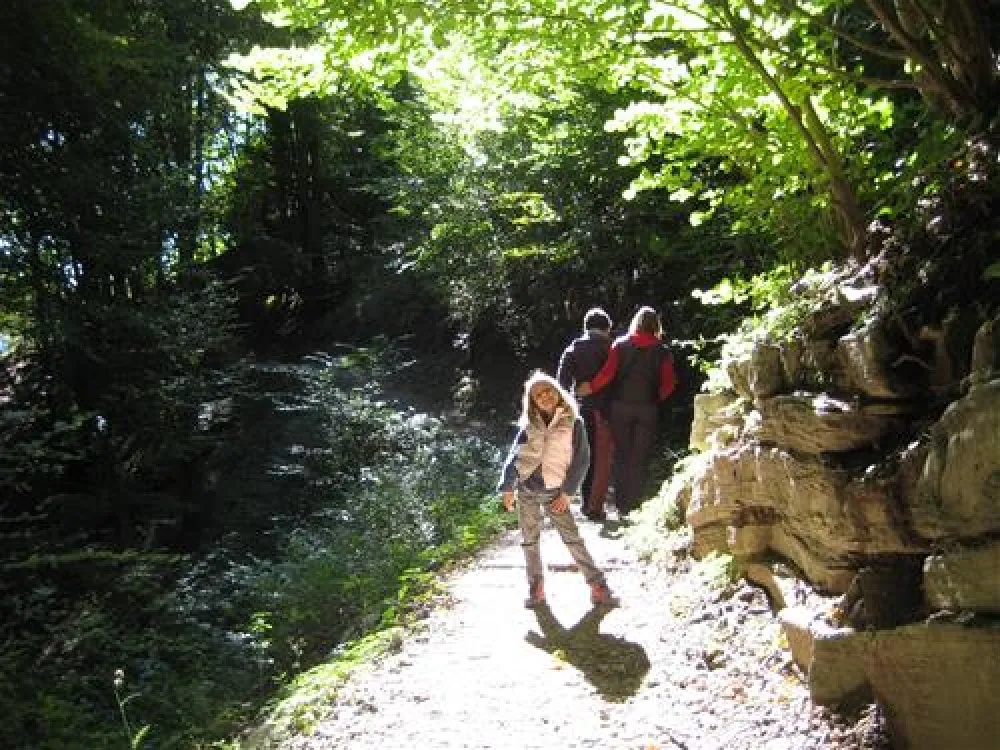 Campeggio ai Colli Fioriti