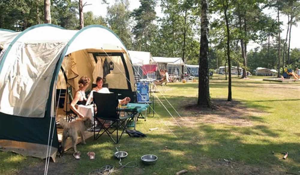 Camping Het Lierderholt