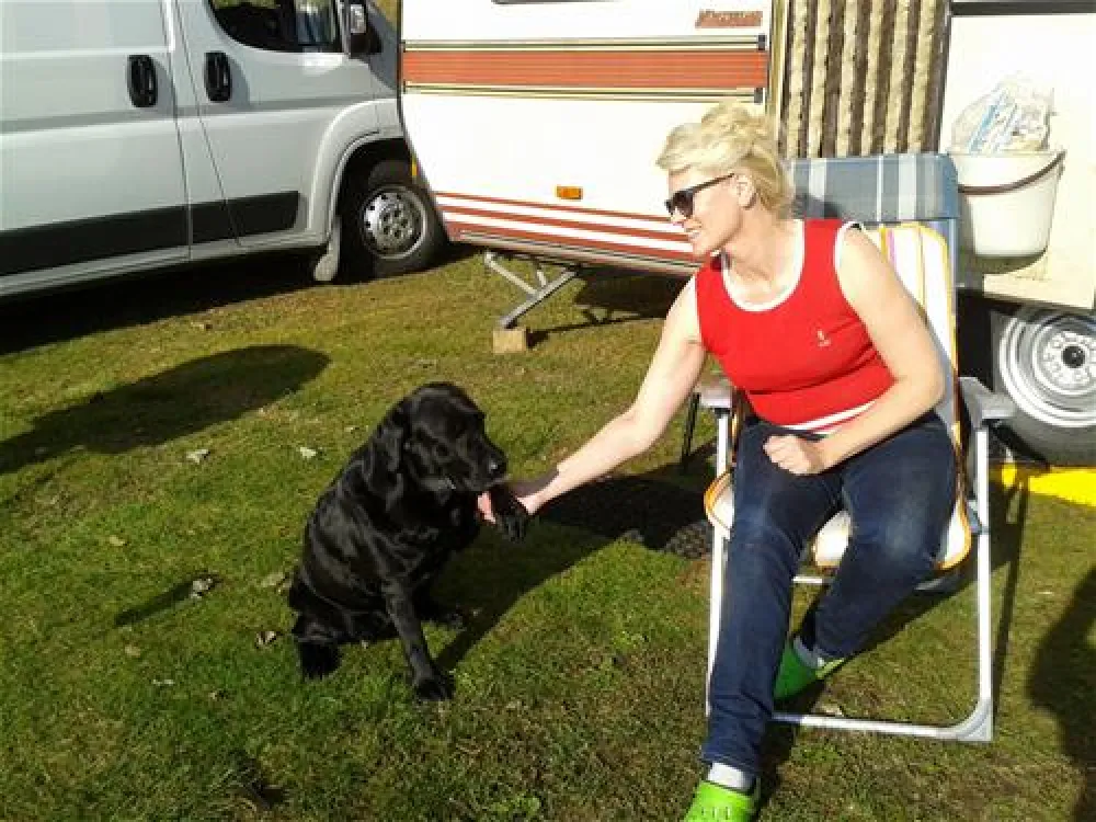 Napapiirin Saarituvat