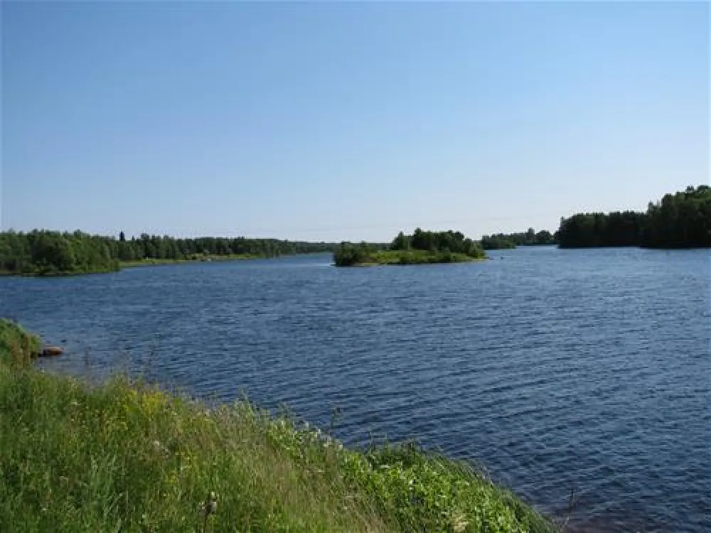 Napapiirin Saarituvat