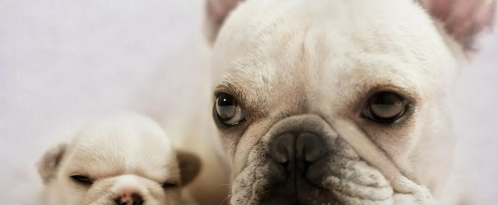 Ferry Meadows Caravan Club Site