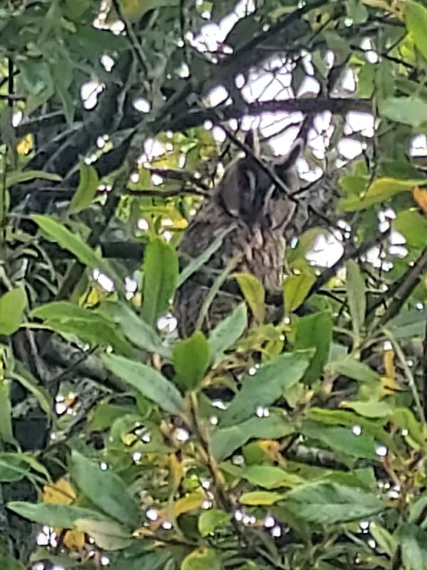 Camping en Passantenhaven It Kruswetter