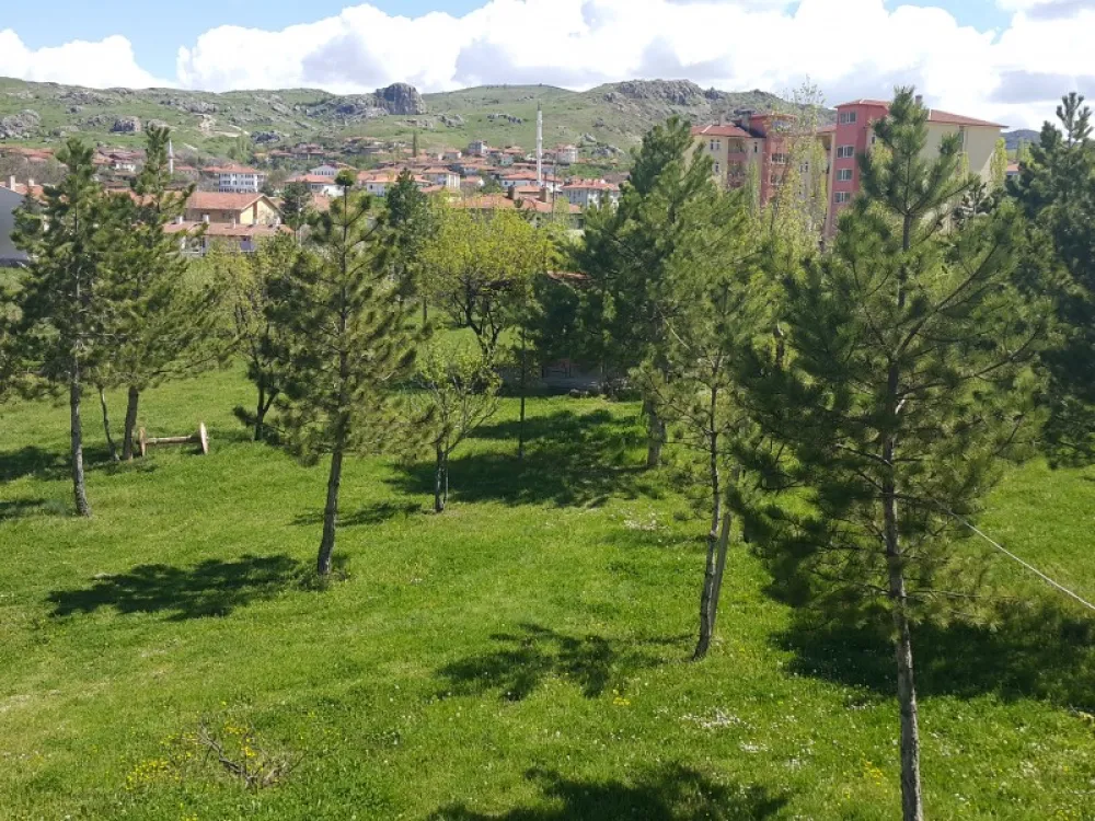 Asikoglu Tourist Camp