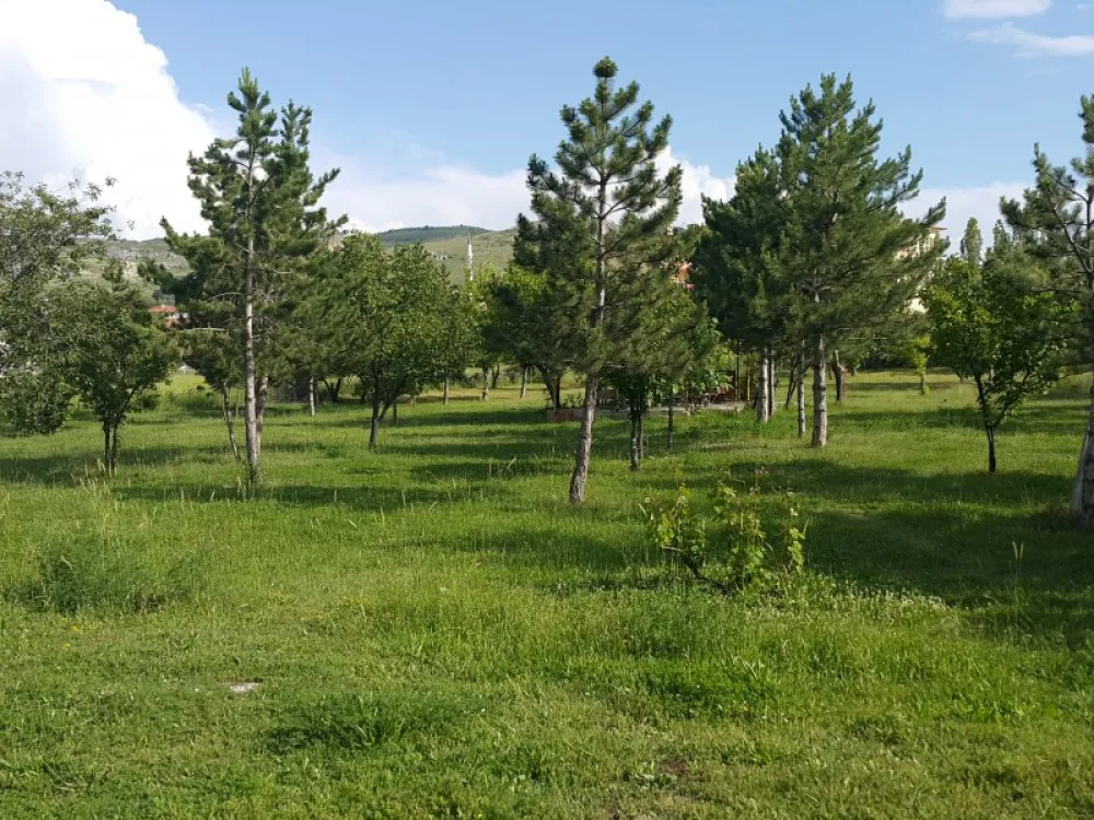 Asikoglu Tourist Camp