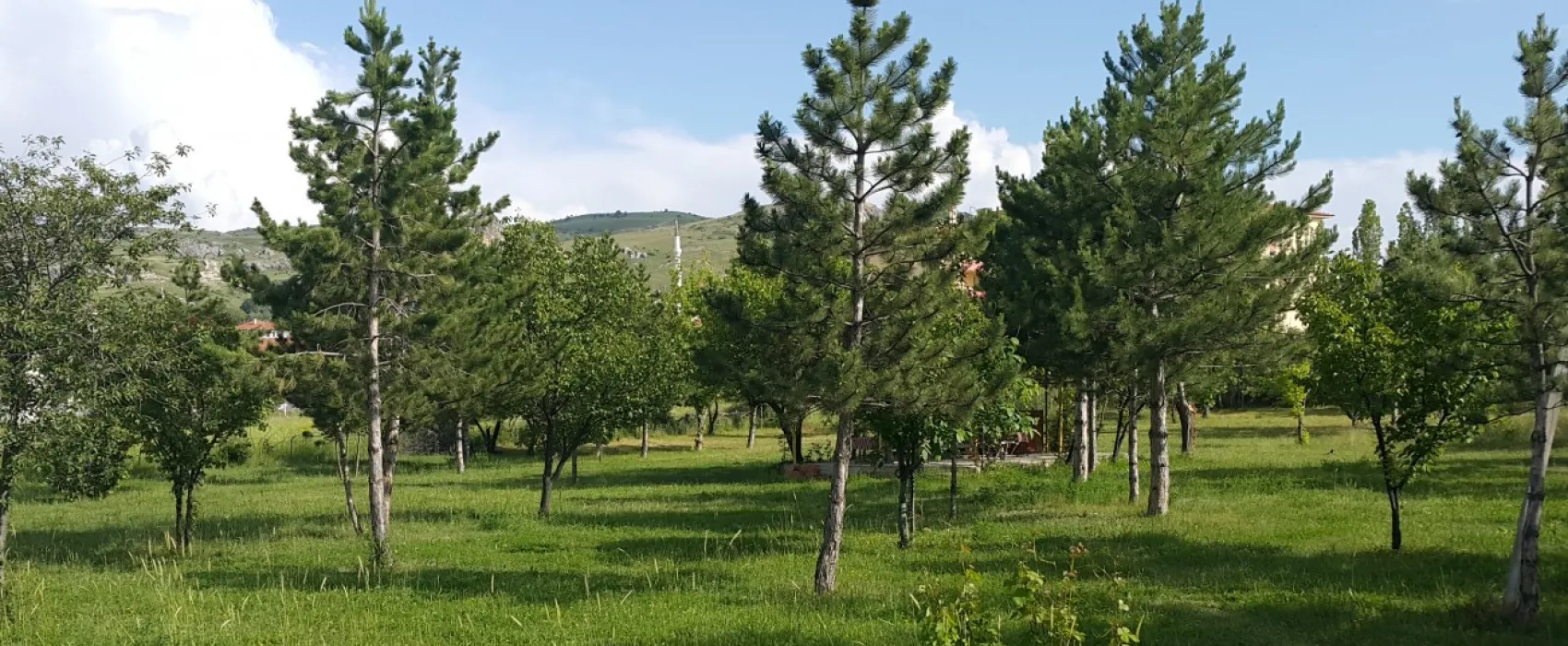 Asikoglu Tourist Camp