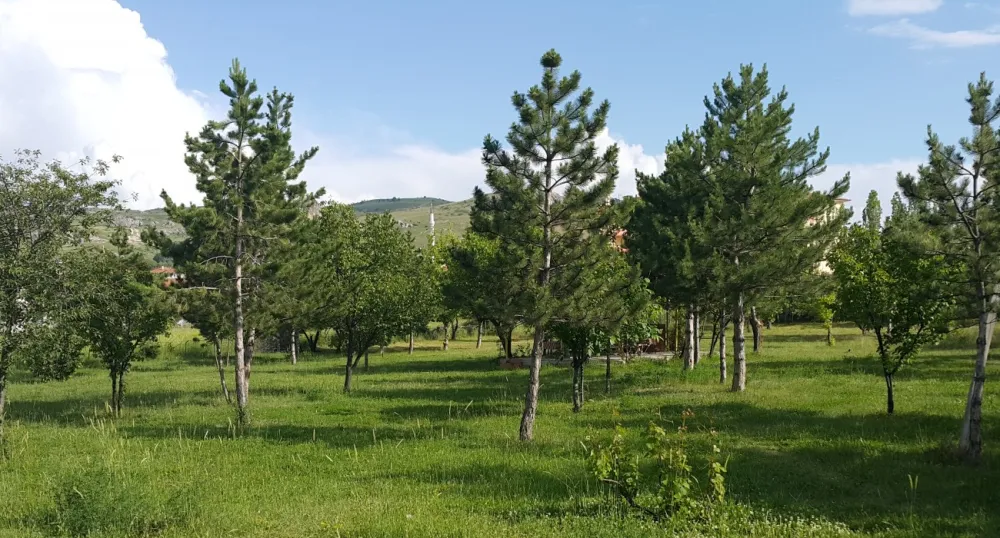 Asikoglu Tourist Camp