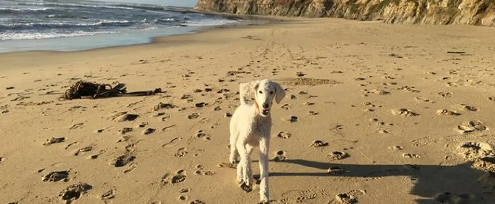 Pillar Point RV Park