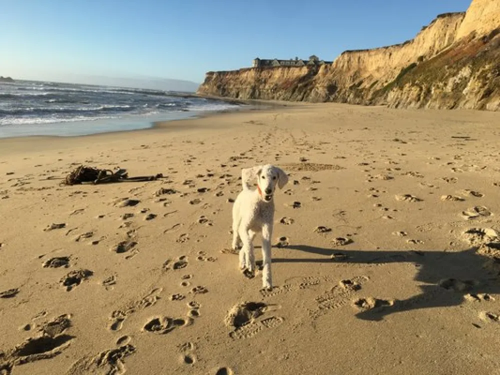 Pillar Point RV Park