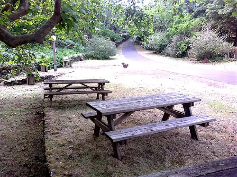 Parque de Campismo Municipal da Furna