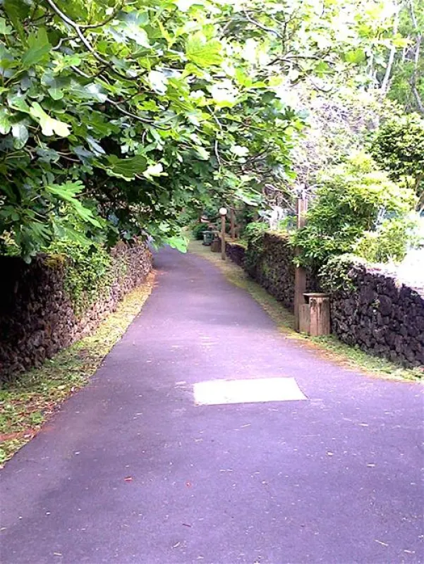 Parque de Campismo Municipal da Furna