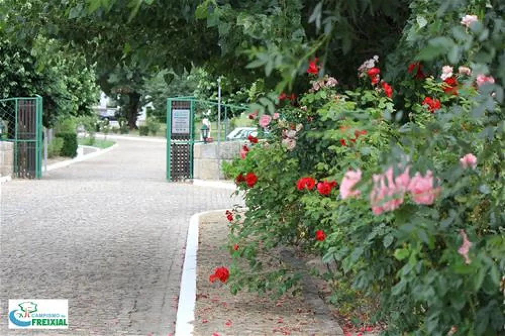 Parque de Camp. do Freixial