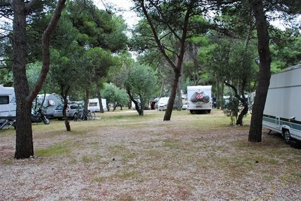 Auto Camp Rozac