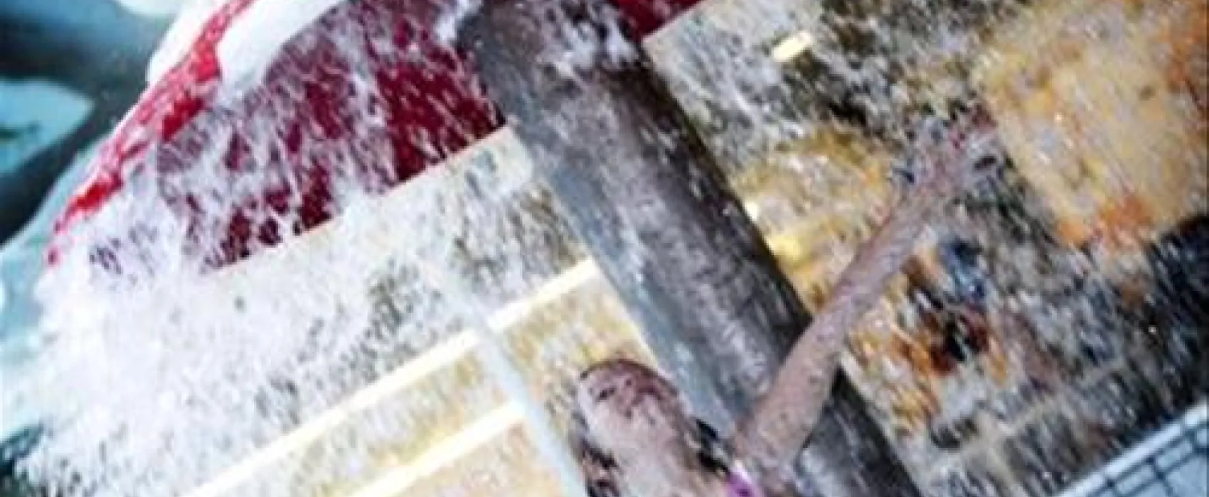 Camping Sportpunt Zeeland