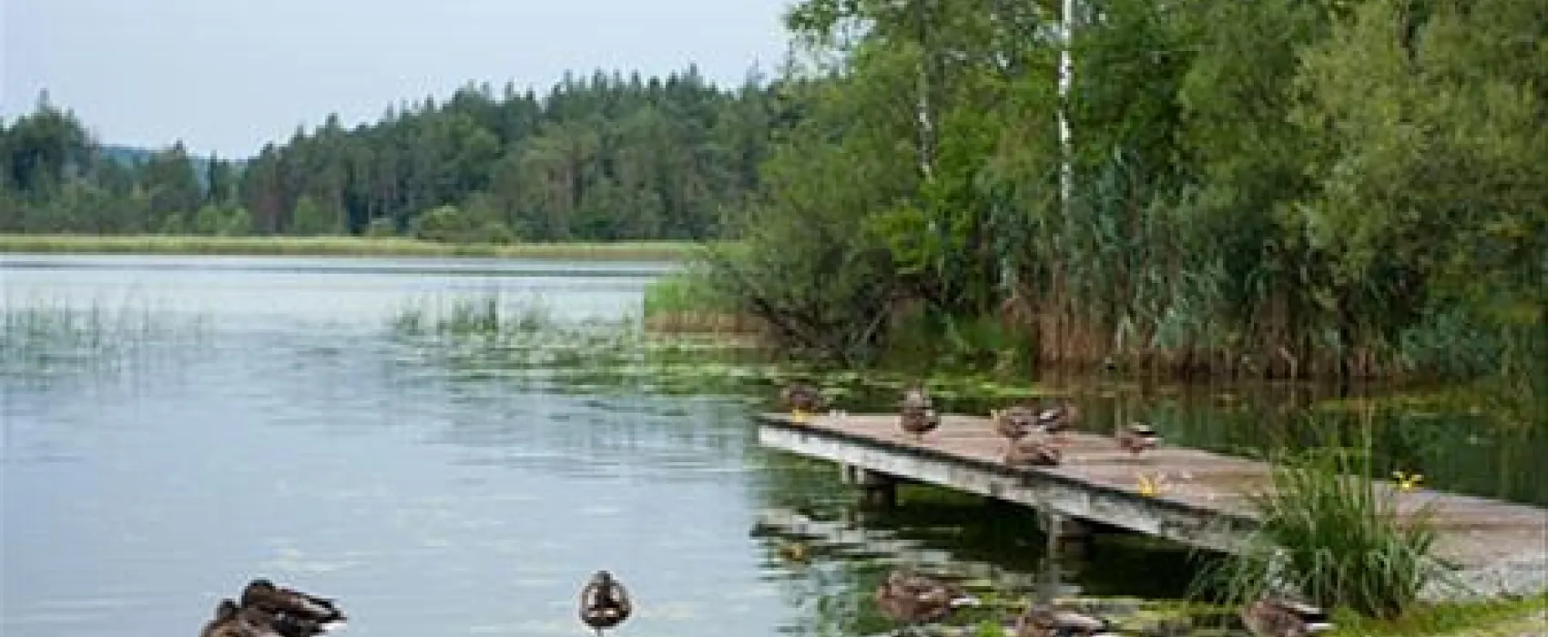 Campingplatz Fohnsee