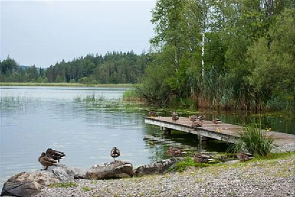 Campingplatz Fohnsee