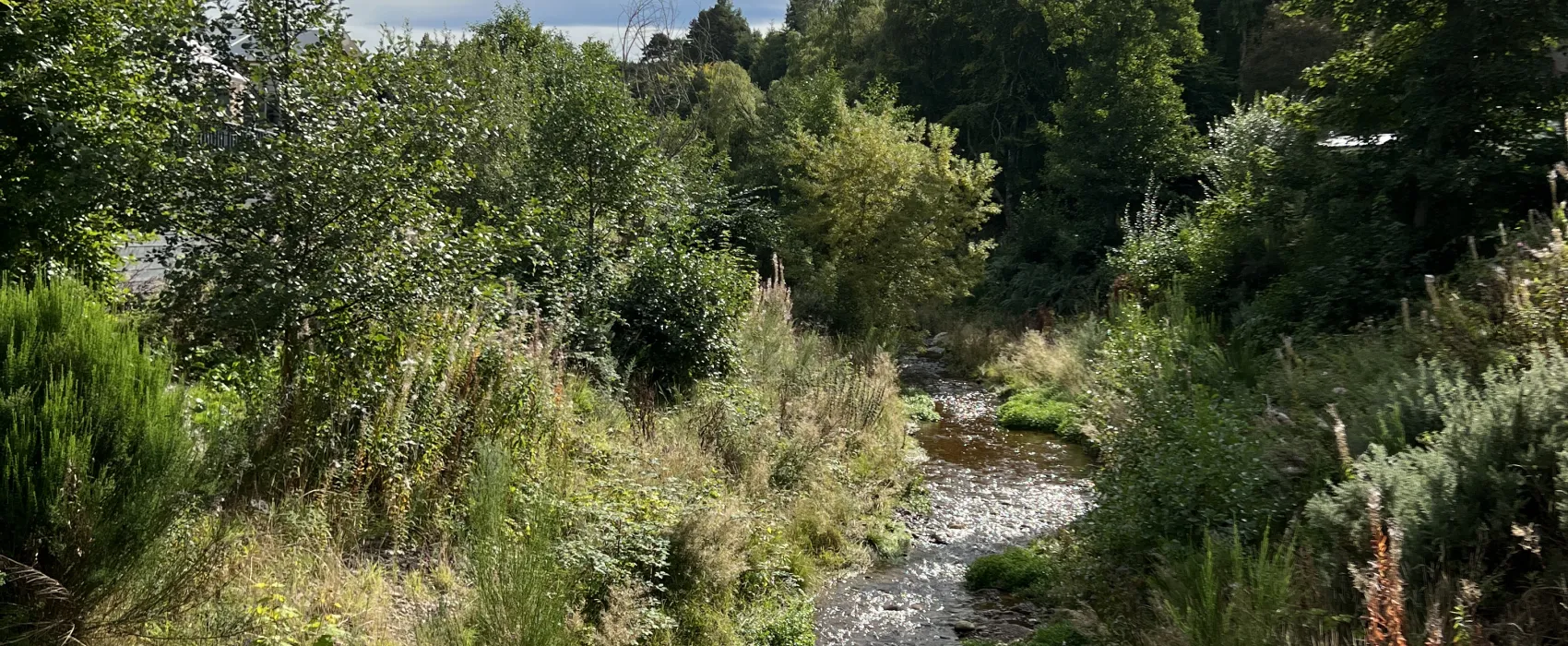 Burnside Caravan Site