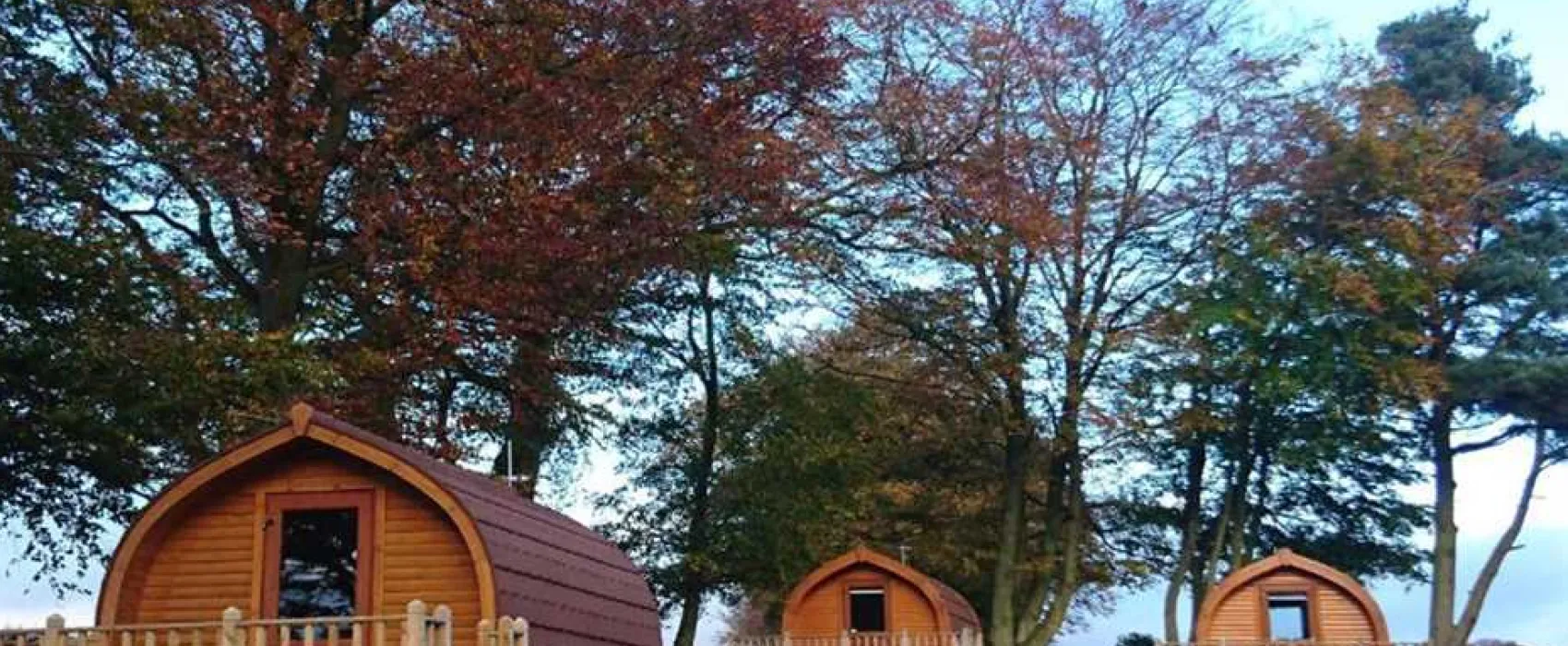 Drumshademuir Caravan and Camping Park