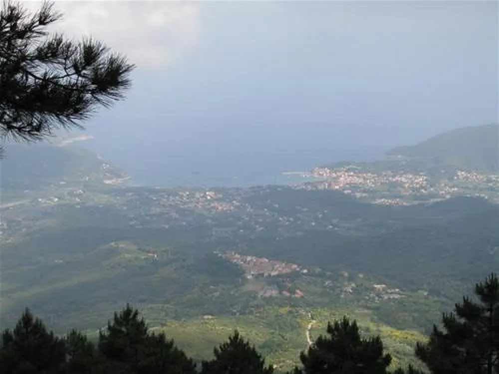 Campeggio Ville degli Ulivi